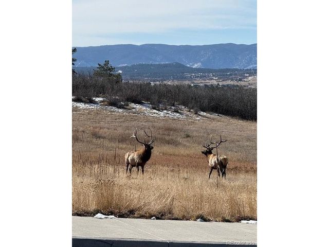 3248 Mccracken Ln, Castle Rock, CO 80104