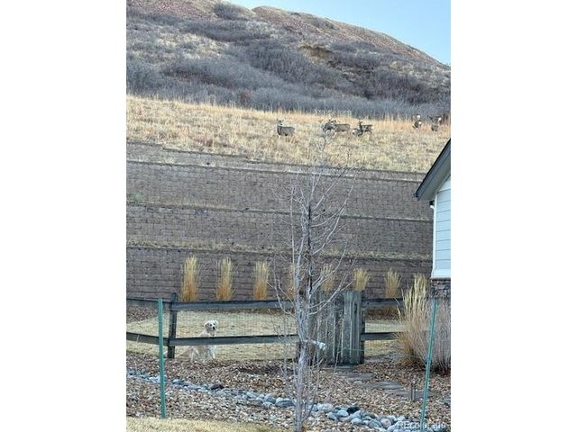 3248 Mccracken Ln, Castle Rock, CO 80104