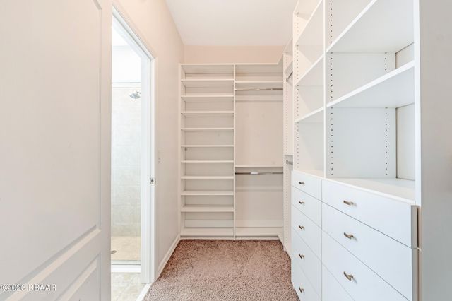 1757 Savannah Lane, Port Orange, FL 32128