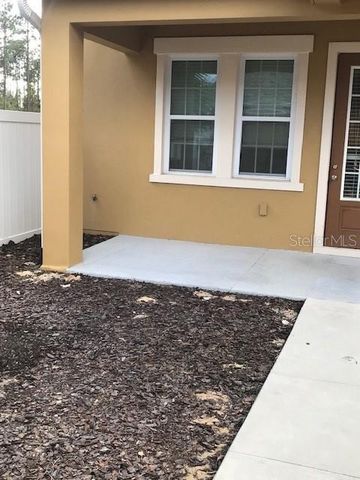 6560 CANDIED PEEL ALLEY, Winter Garden, FL 34787