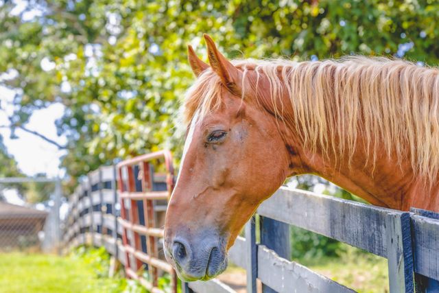 599 Woods Edge Drive, London, KY 40741