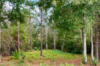 941 W Lakeshore Drive, Carriere, MS 39426