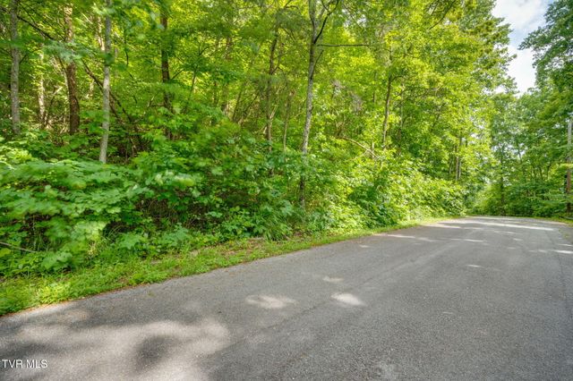 Lot 40 Ridgeheights Drive, Johnson City, TN 37615