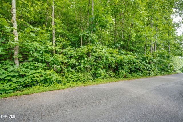 Lot 40 Ridgeheights Drive, Johnson City, TN 37615