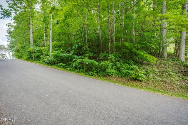 Lot 40 Ridgeheights Drive, Johnson City, TN 37615