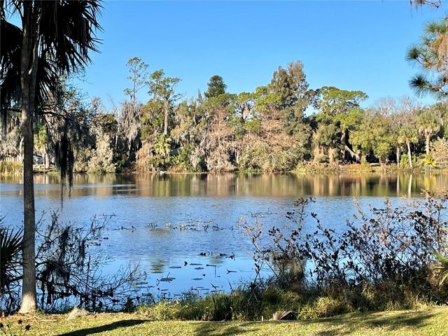 301 AVENUE E, Chuluota, FL 32766