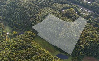 LOT 8 Murphy Lane, Mineral Bluff, GA 30559