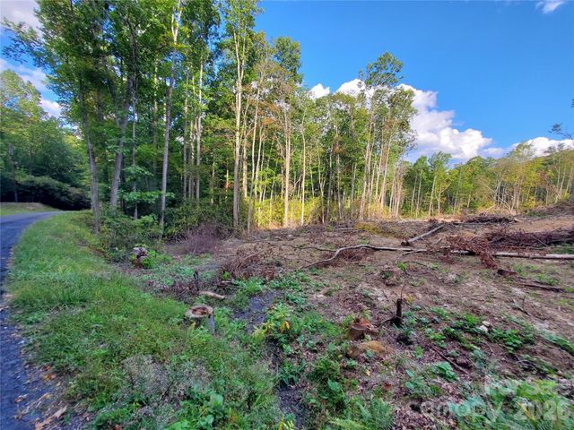 00 Parkwood Hill Road 32, Spruce Pine, NC 28777
