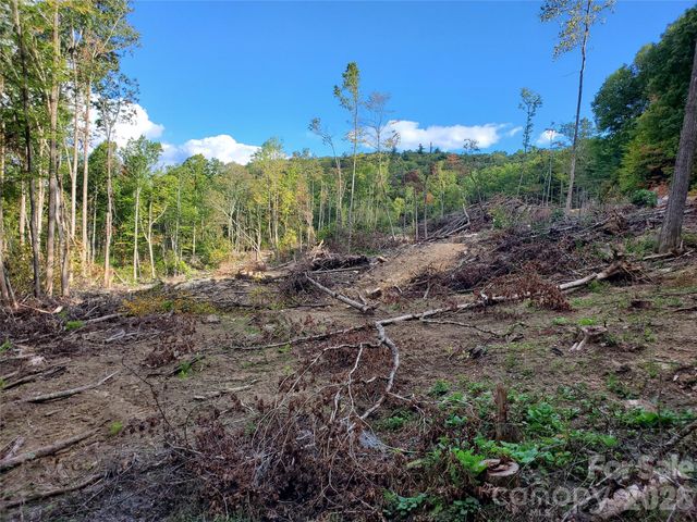 00 Parkwood Hill Road 32, Spruce Pine, NC 28777