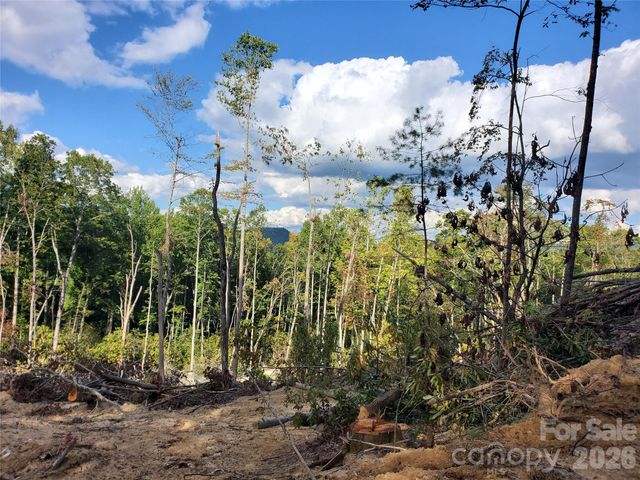 00 Parkwood Hill Road 32, Spruce Pine, NC 28777