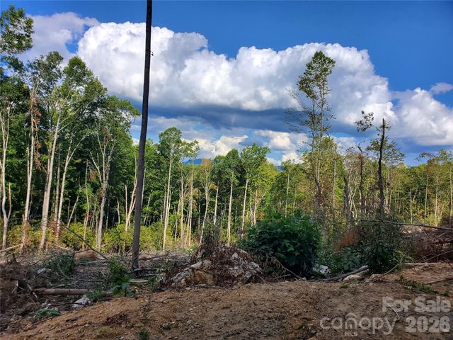 00 Parkwood Hill Road 32, Spruce Pine, NC 28777