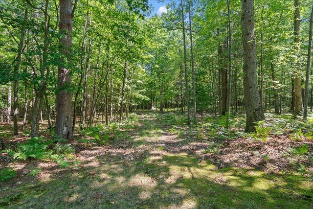 6653 W Jackson Road, Pentwater Twp, MI 49449