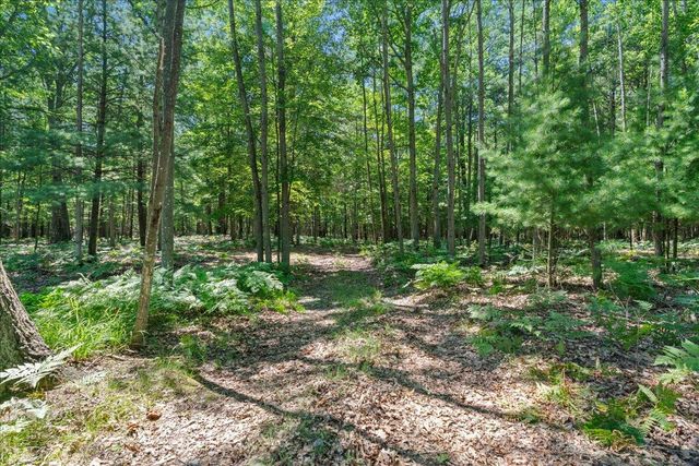 6653 W Jackson Road, Pentwater Twp, MI 49449