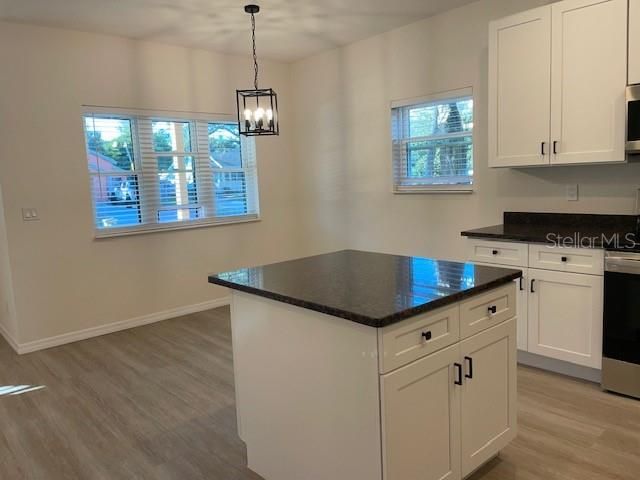 1482 CLEVELAND STREET, Clearwater, FL 33755