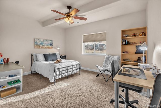 4466 Dusty Pine Trail, Castle Rock, CO 80109