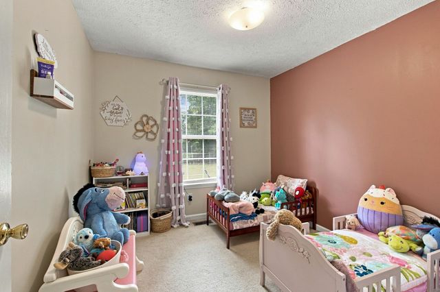 533 Birkenhead Dr, Christiana, TN 37037