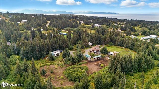 40650 Belnap Drive, Homer, AK 99603