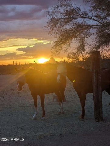 33597 E DAVIS RANCH Road, Marana, AZ 85658