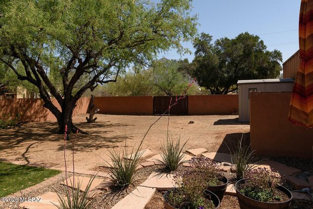 8201 N Carolyn Place, Tucson, AZ 85704