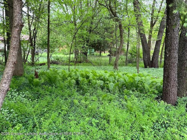 704 Larchmont Street, Dewitt, MI 48820