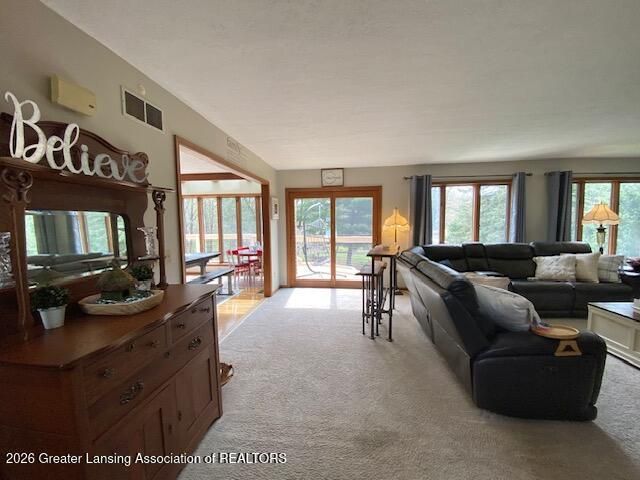 704 Larchmont Street, Dewitt, MI 48820