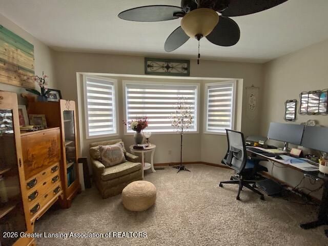704 Larchmont Street, Dewitt, MI 48820