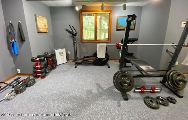 704 Larchmont Street, Dewitt, MI 48820