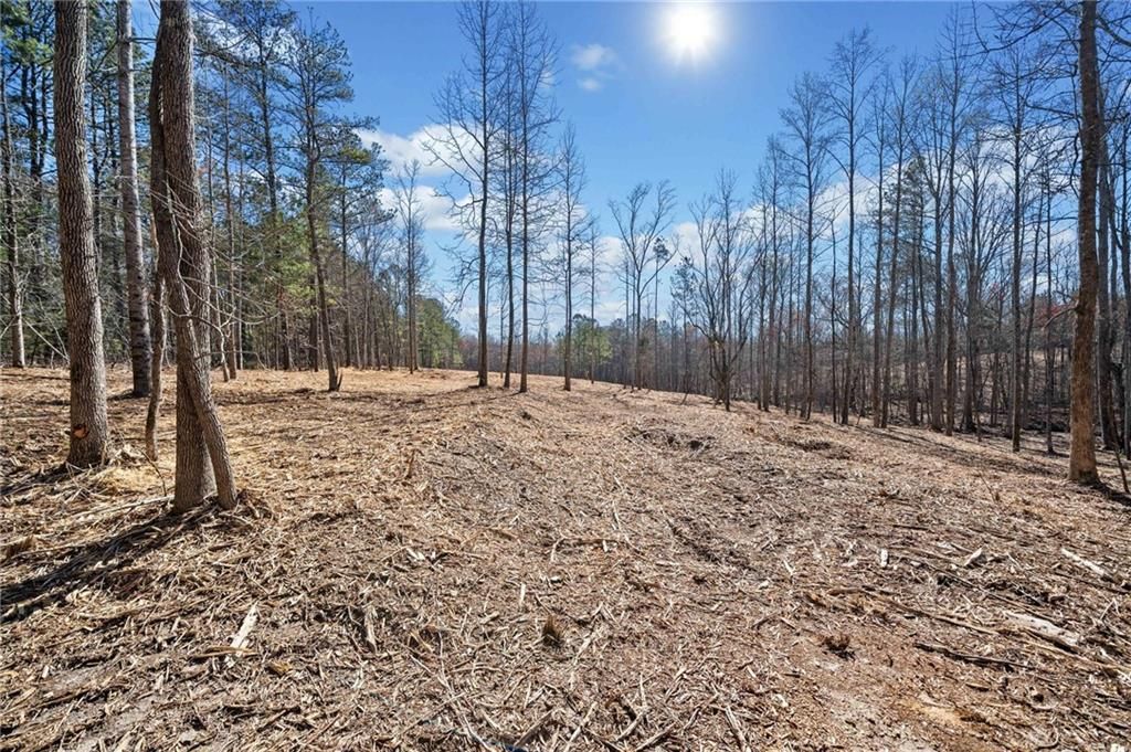 472 Mt. Olive Church Lane, White, GA 30184