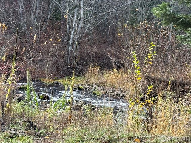 111 Tamarack Lane, Dayton, WA 99328