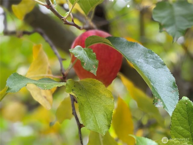 111 Tamarack Lane, Dayton, WA 99328