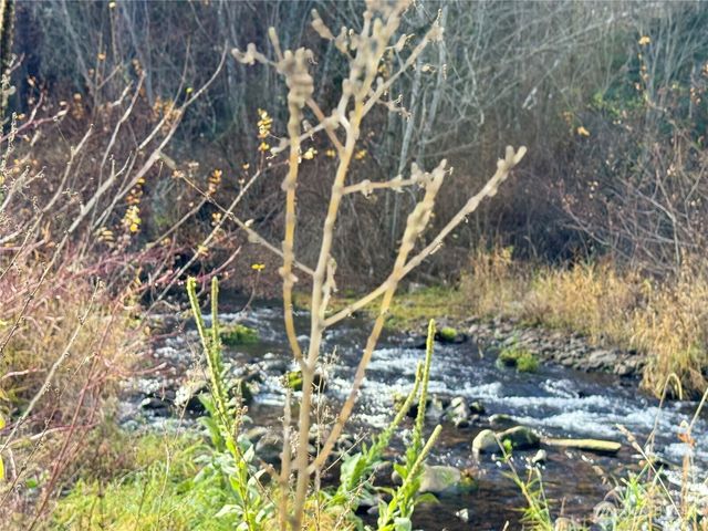 111 Tamarack Lane, Dayton, WA 99328