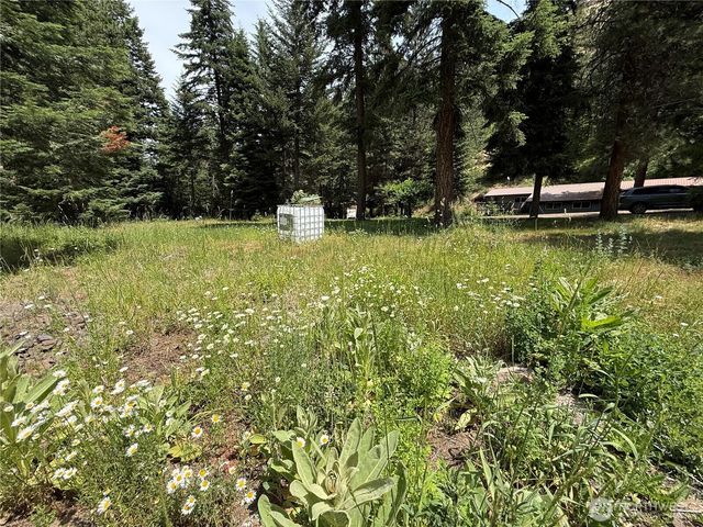 111 Tamarack Lane, Dayton, WA 99328