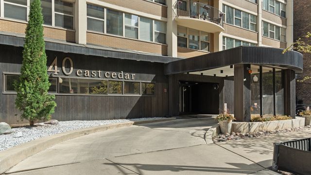 40 E Cedar Street 18A, Chicago, IL 60611