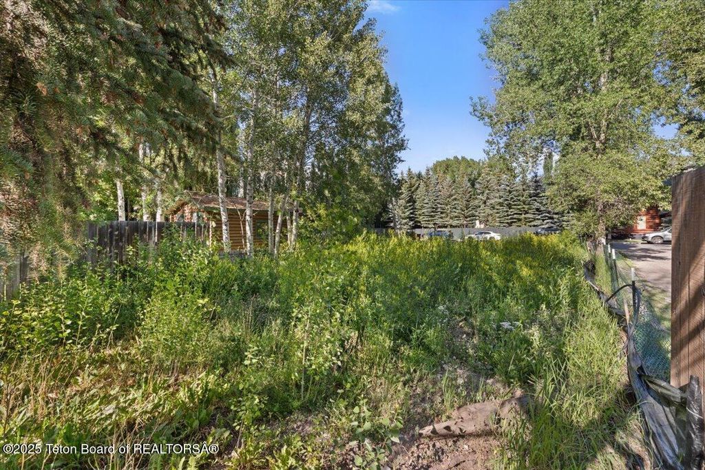 415 N GLENWOOD Street, Jackson, WY 83001 photo 10