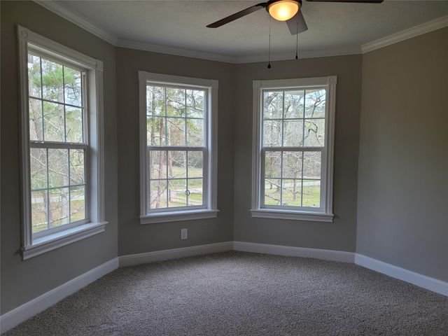 15896 Tree Monkey Road, Conroe, TX 77303