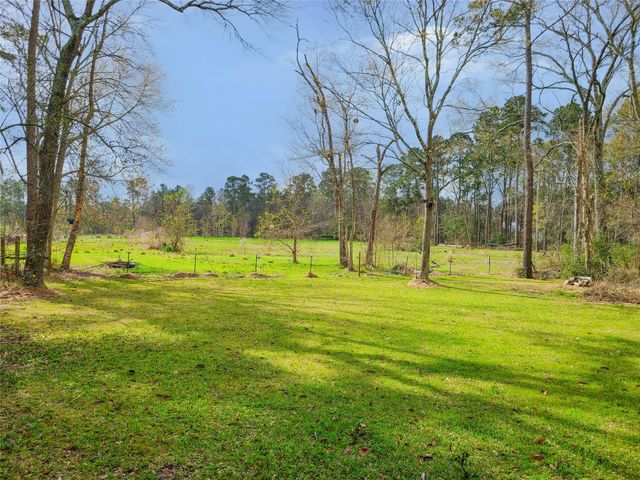 15896 Tree Monkey Road, Conroe, TX 77303