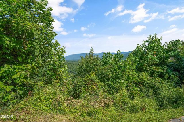 616 Kings Way, Gatlinburg, TN 37738