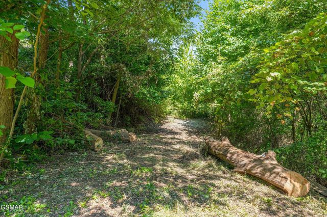 616 Kings Way, Gatlinburg, TN 37738