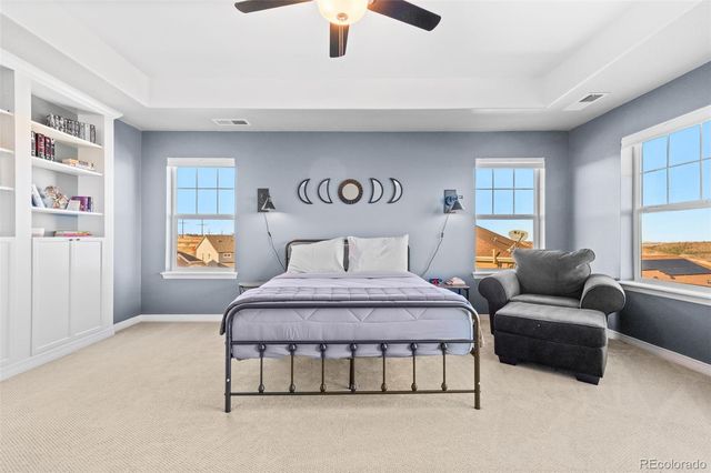 2910 El Nido Way, Castle Rock, CO 80108