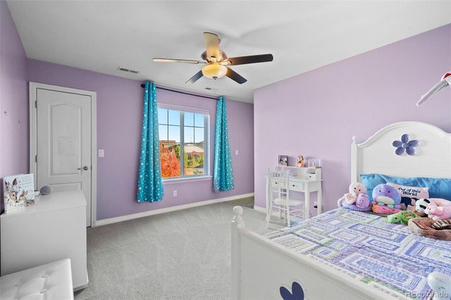 2910 El Nido Way, Castle Rock, CO 80108