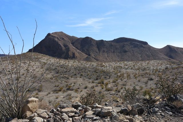 300 N Ivy Terrace, Terlingua, TX 79852