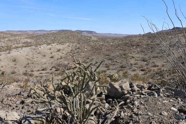 300 N Ivy Terrace, Terlingua, TX 79852