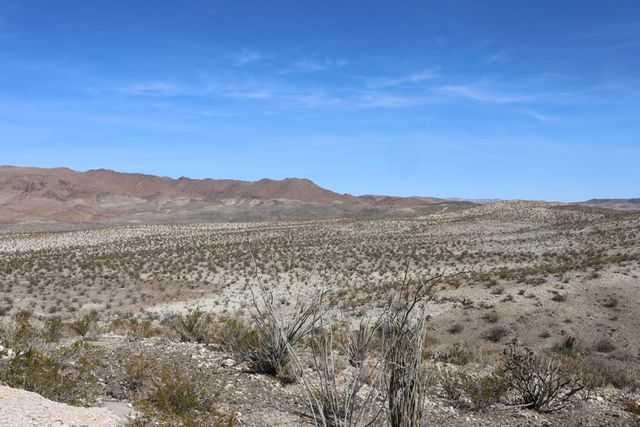 300 N Ivy Terrace, Terlingua, TX 79852