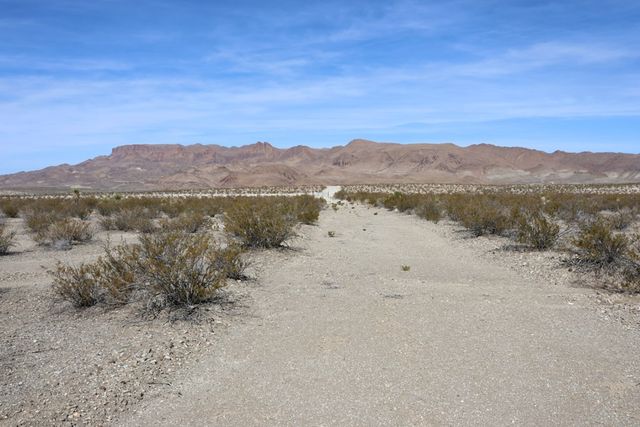 300 N Ivy Terrace, Terlingua, TX 79852