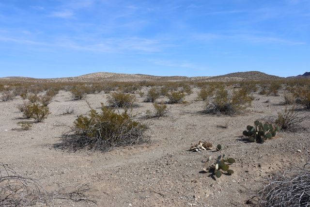 300 N Ivy Terrace, Terlingua, TX 79852