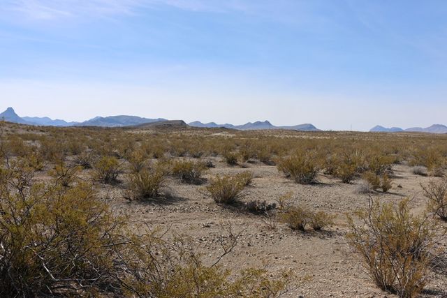 300 N Ivy Terrace, Terlingua, TX 79852