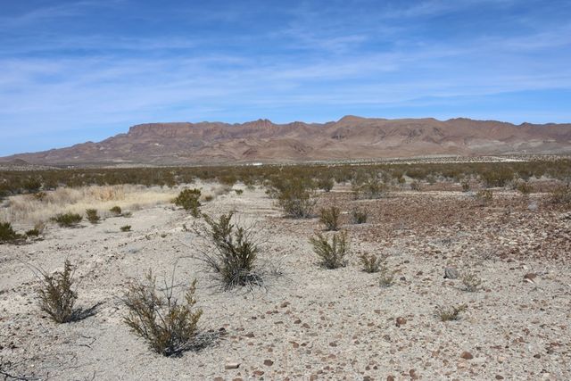 300 N Ivy Terrace, Terlingua, TX 79852