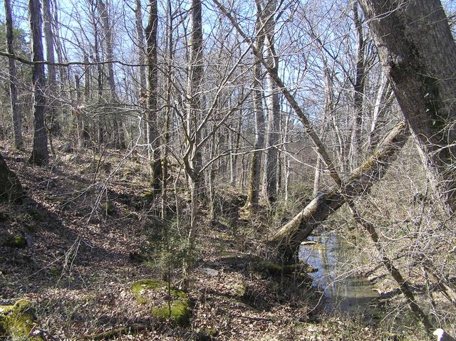 4114 Lower East Valley Road, Dunlap, TN 37327
