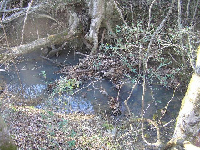 4114 Lower East Valley Road, Dunlap, TN 37327