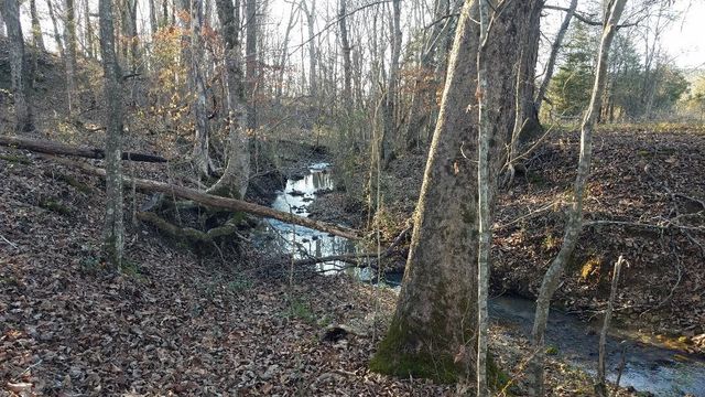 4114 Lower East Valley Road, Dunlap, TN 37327